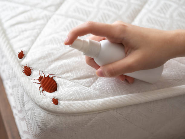 Best Pest Prevention Services  in Dundee, FL